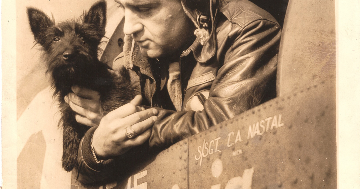 Scottish Terrier held by an airman, 1940s photograph